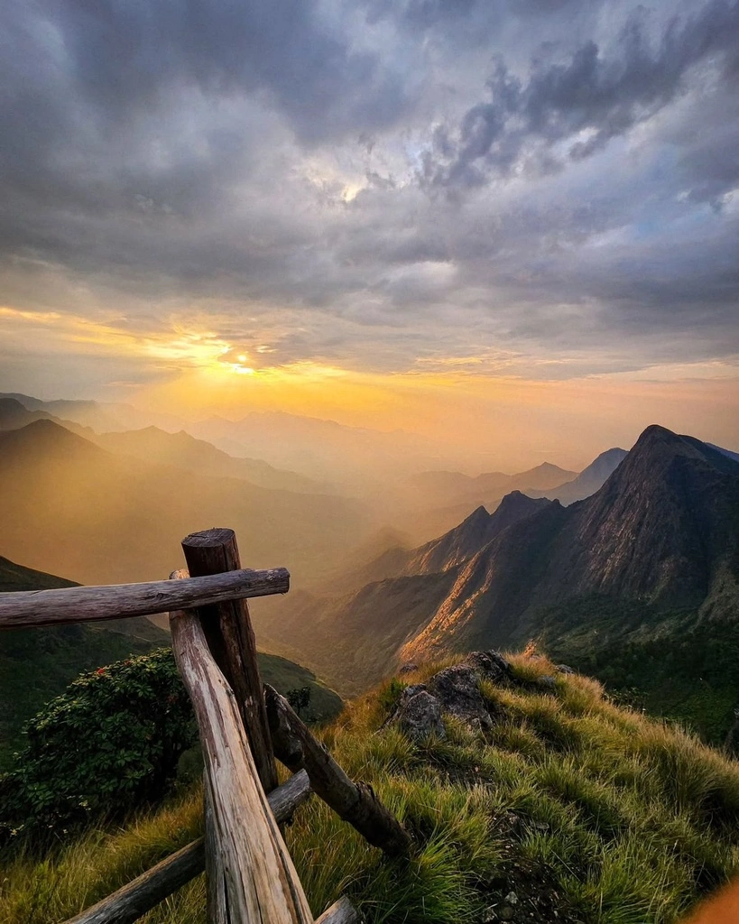 Green forest and hills in Munnar